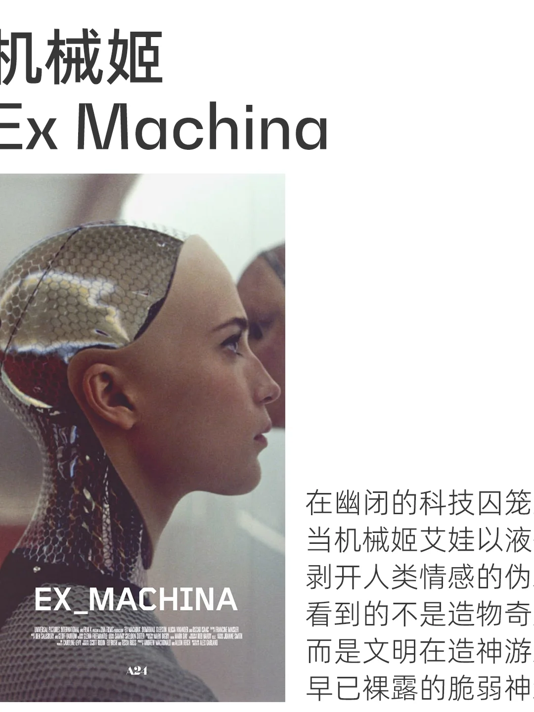 A24 我推荐的十部电影