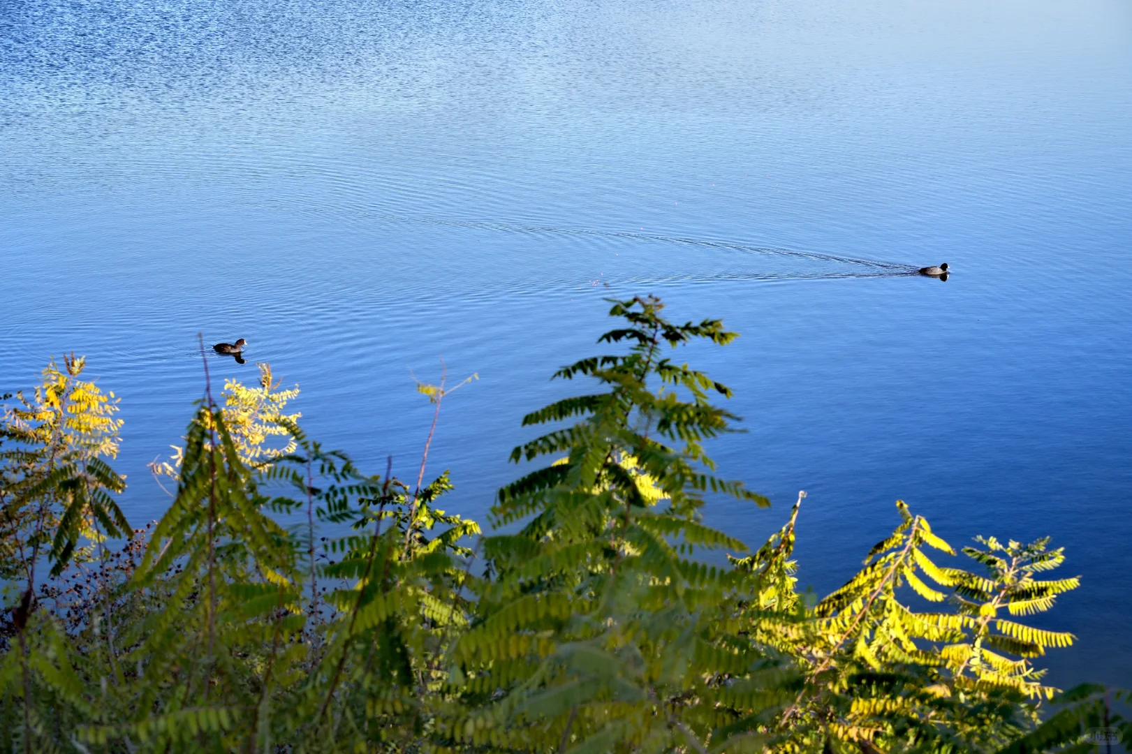 体力 脑力 心力