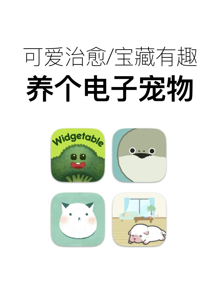 云养小宠物！这些可爱的小东西我能看一天～