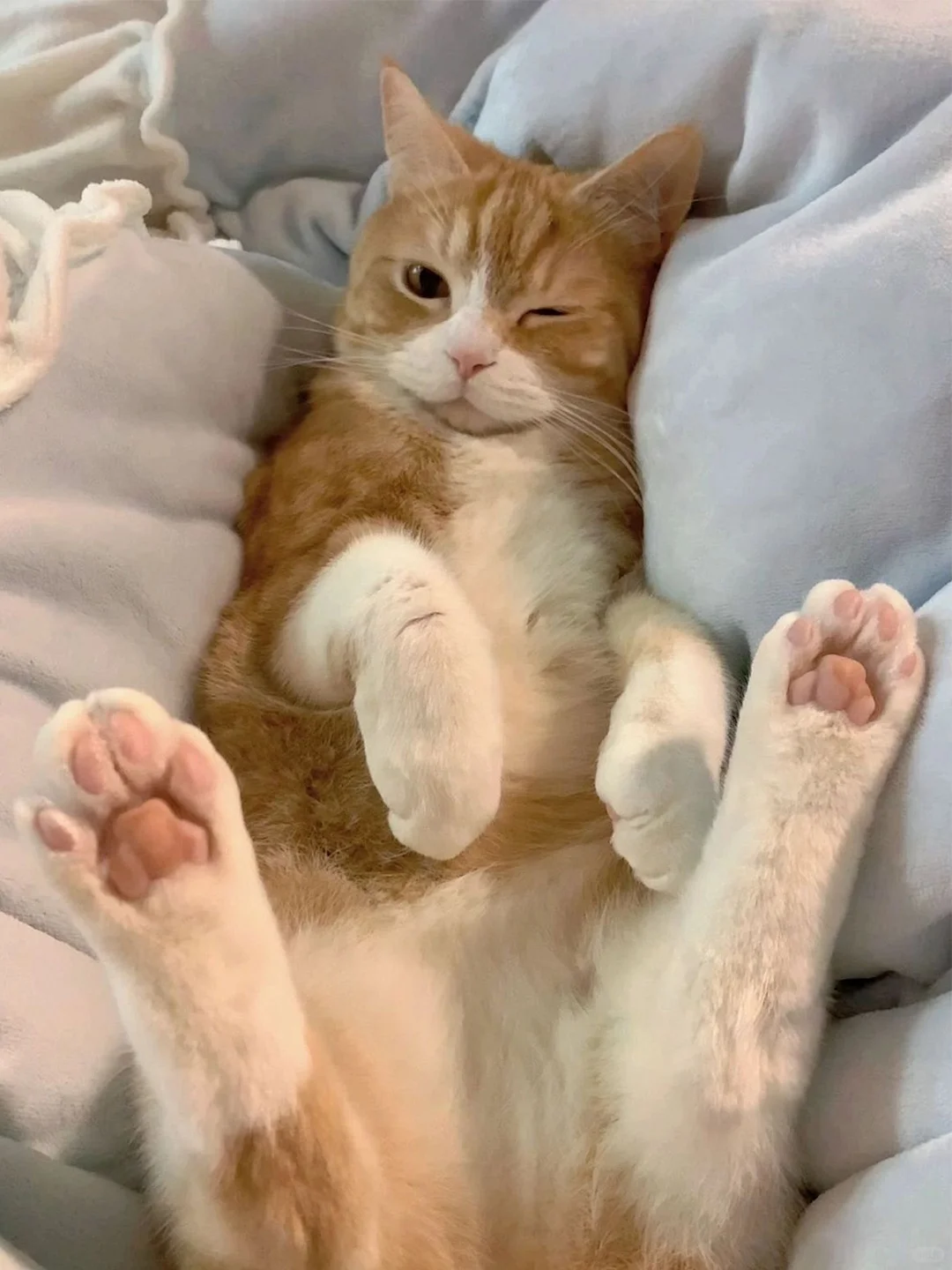 毛绒图标大合集