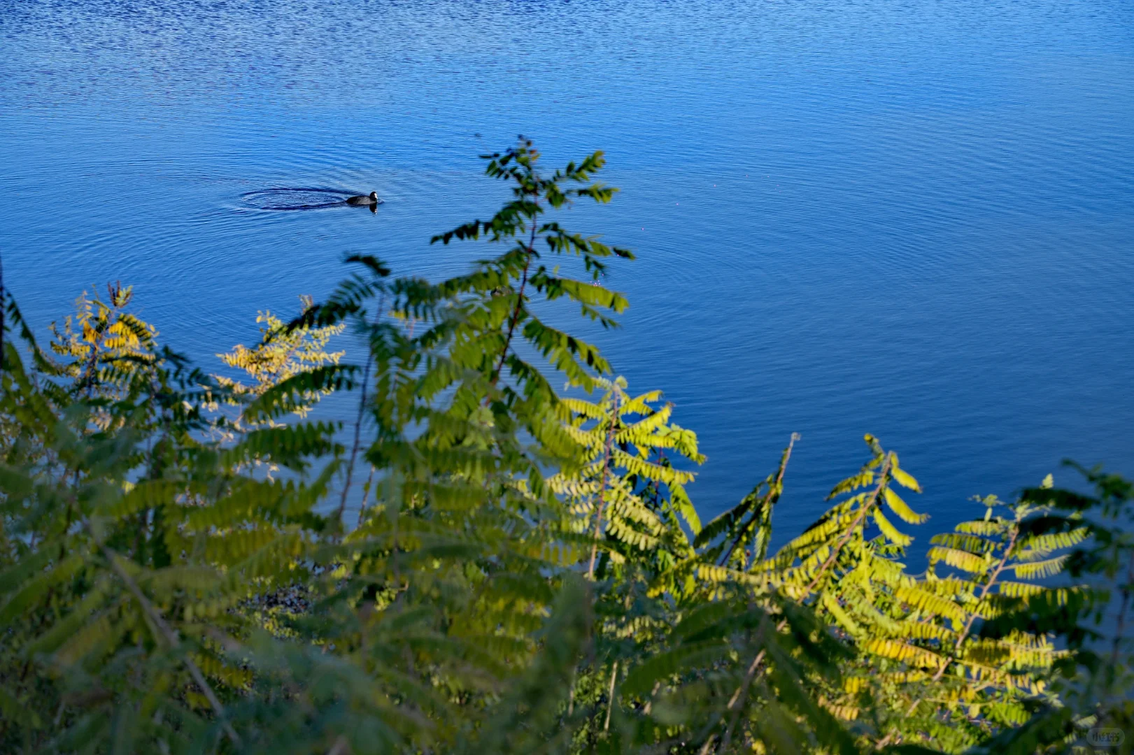 体力 脑力 心力