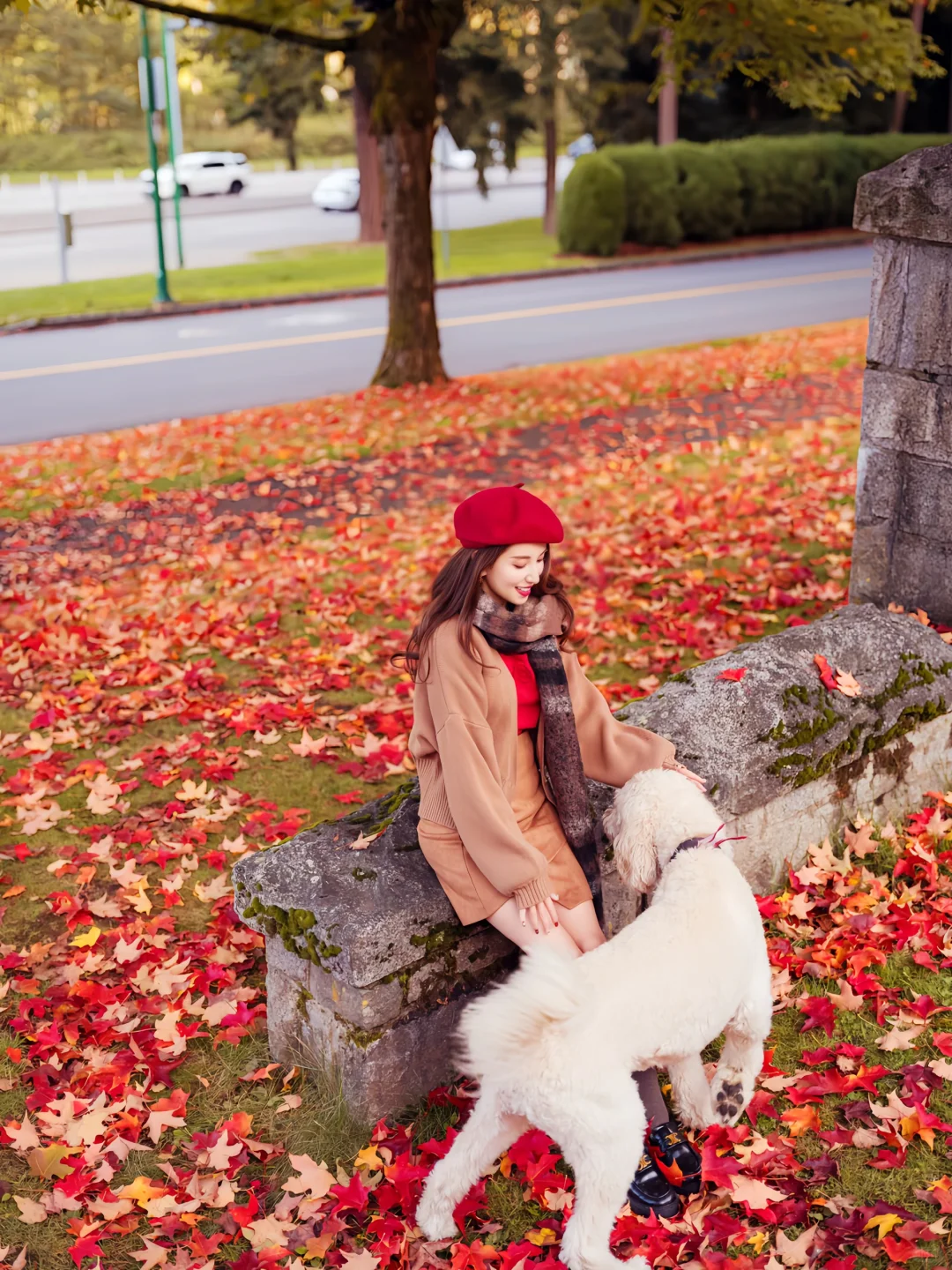 希望这个秋天，好运和枫叶一样不期而至🍁