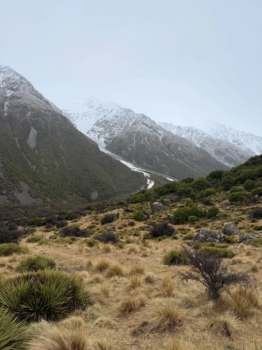 从澳洲来新西兰旅游别报太大希望