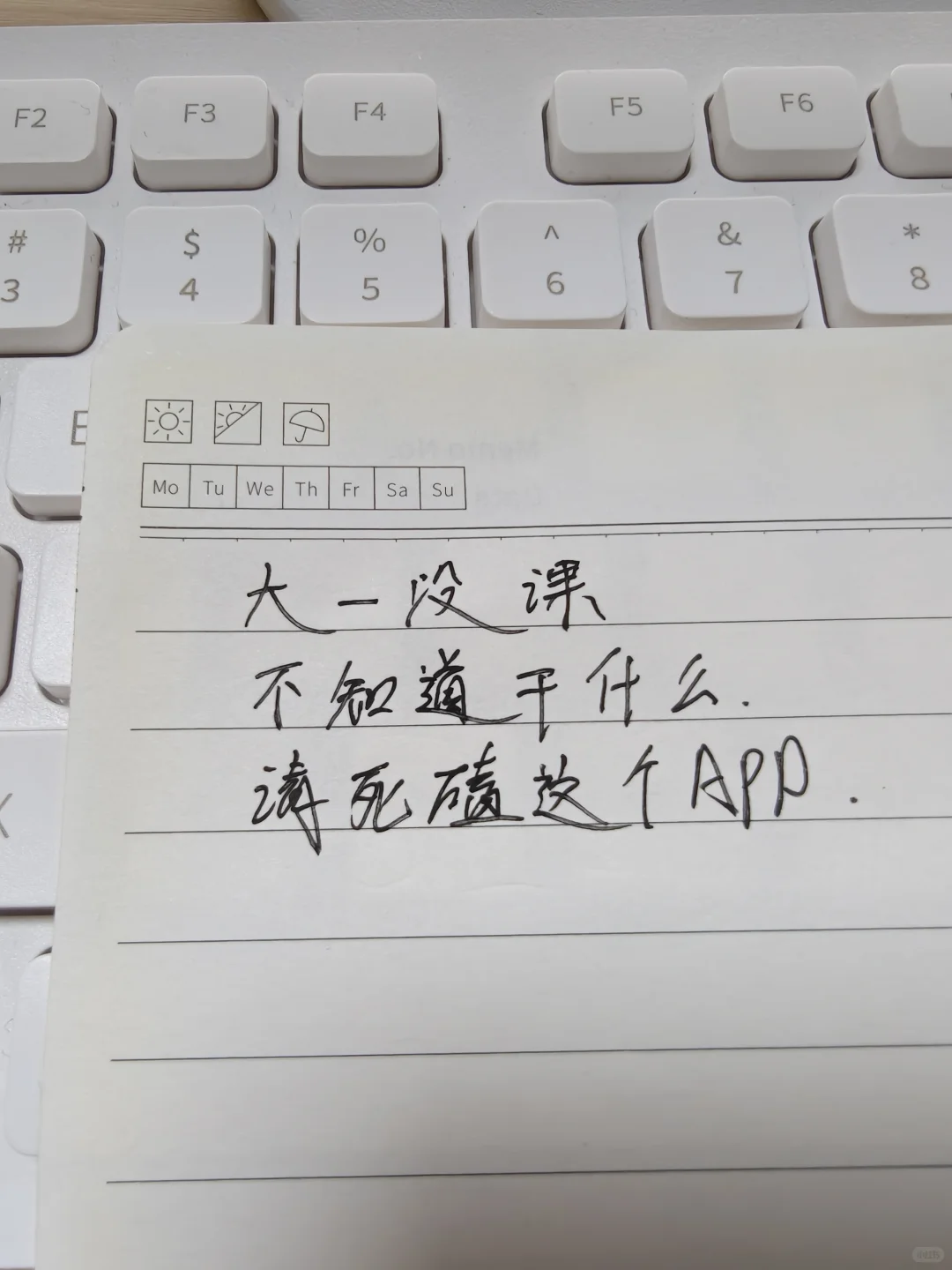 大一没课不知道干什么请死磕这个APP❗❗❗