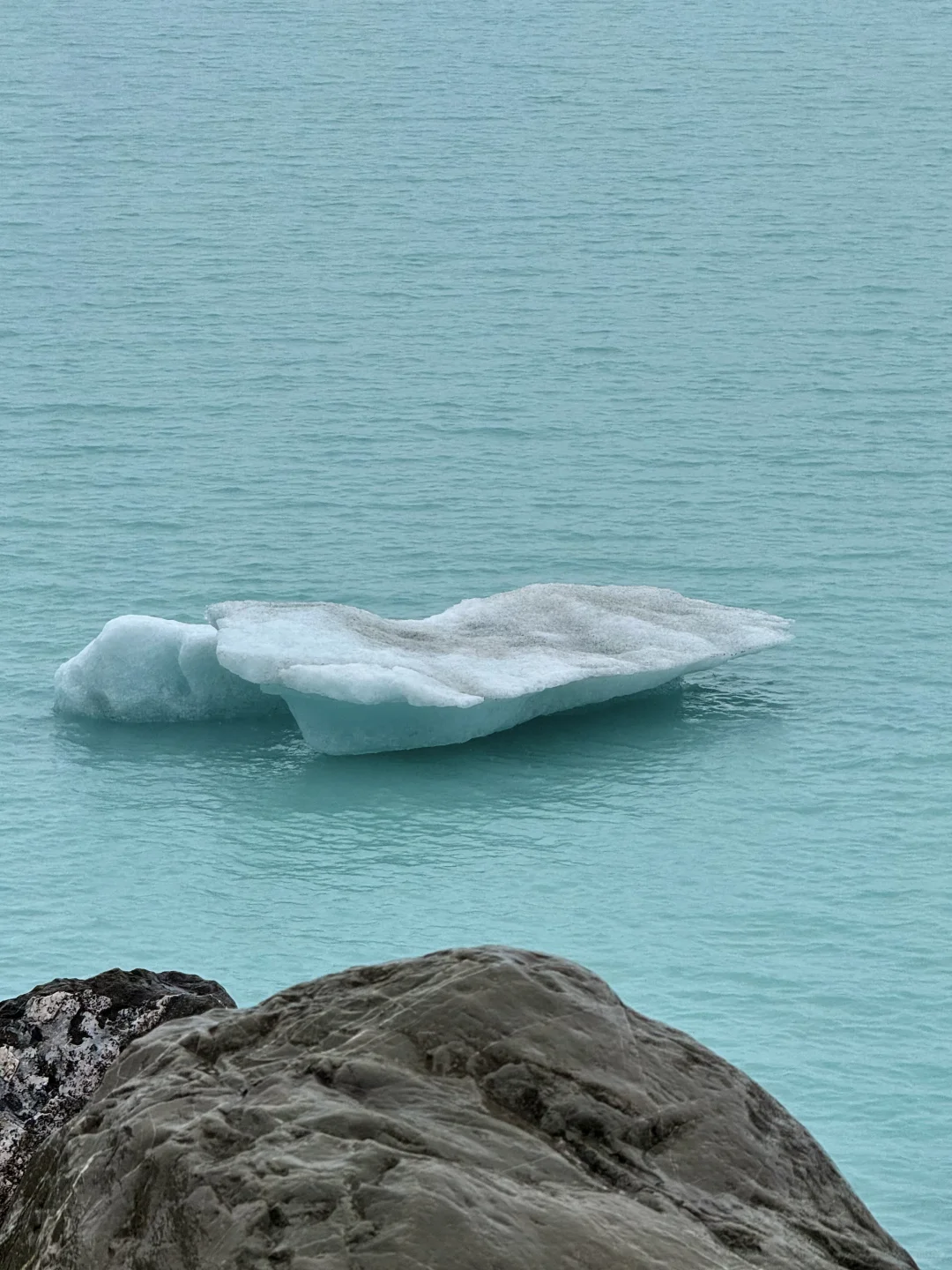 从澳洲来新西兰旅游别报太大希望