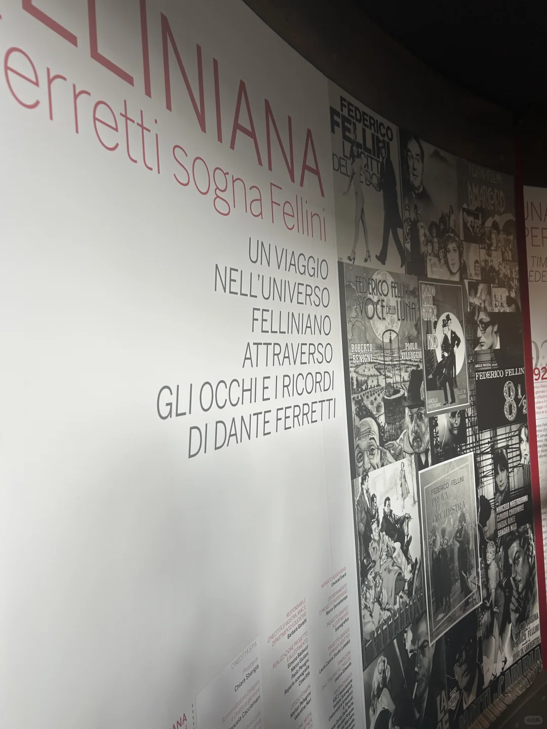 坐标罗马！不容错过的小众电影展