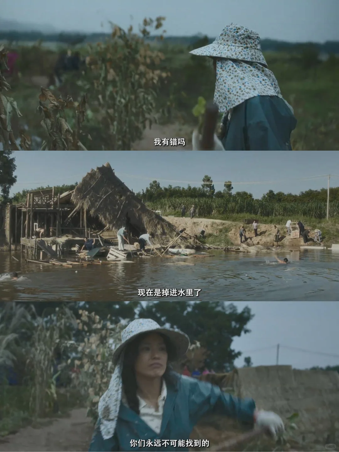 揪心!舒淇 白客!女性觉醒与救赎!想看!