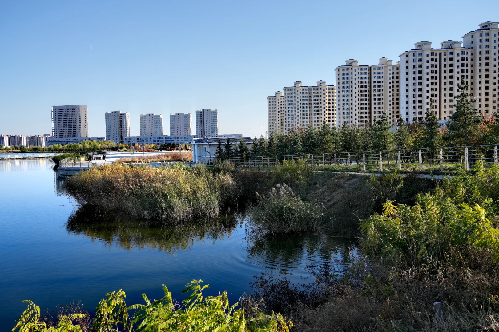 体力 脑力 心力