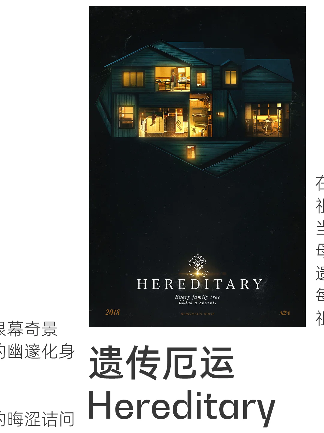 A24 我推荐的十部电影