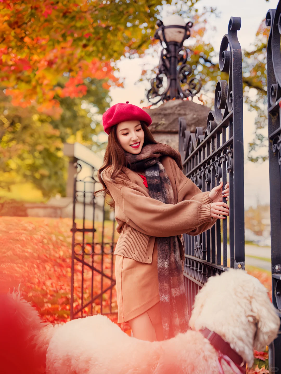 希望这个秋天，好运和枫叶一样不期而至🍁