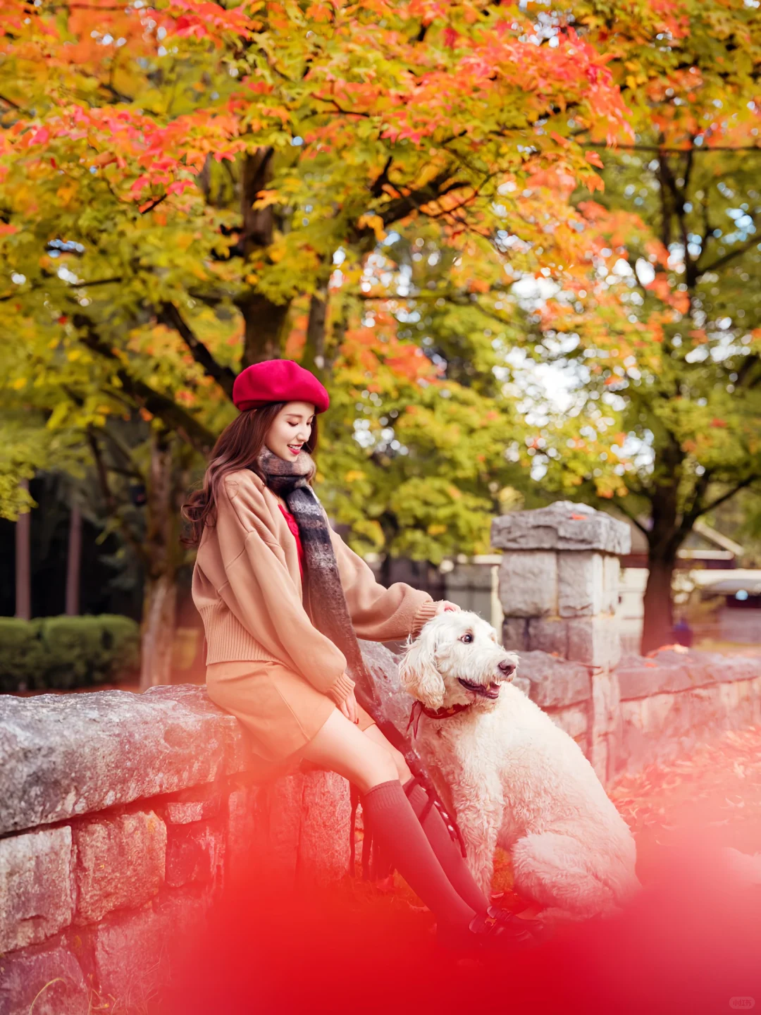 希望这个秋天，好运和枫叶一样不期而至🍁