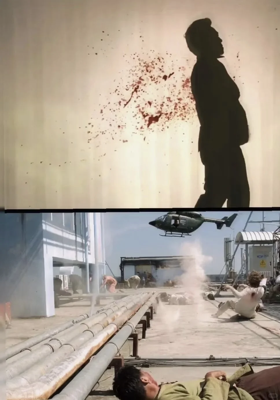 看完热血沸腾，又燃又真！🔥