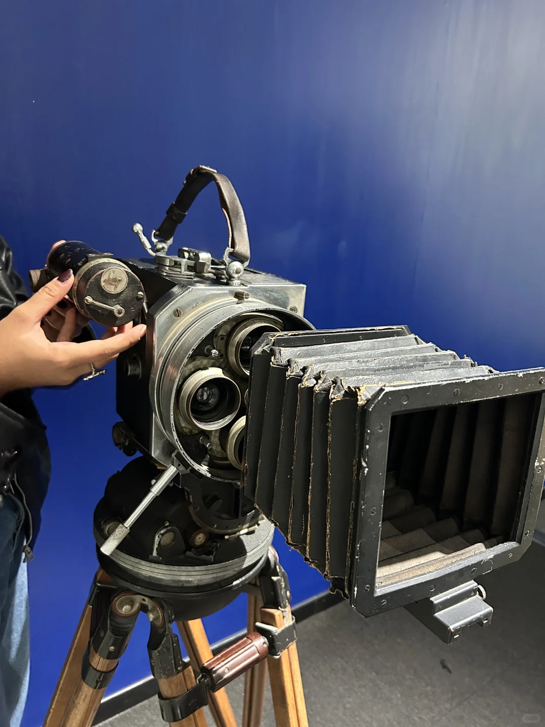 坐标罗马！不容错过的小众电影展