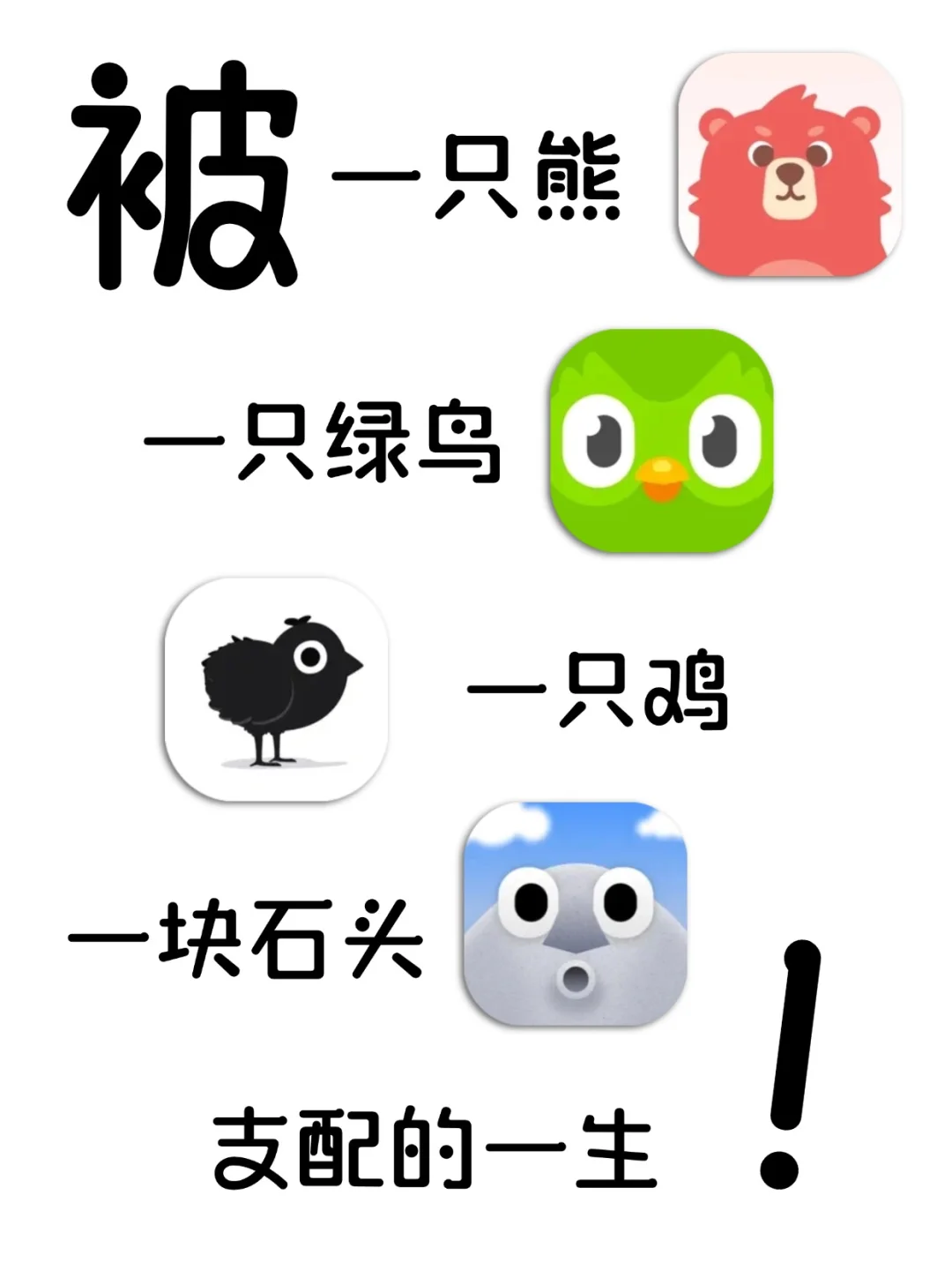 好好好，我终究是被一只熊拿捏了！