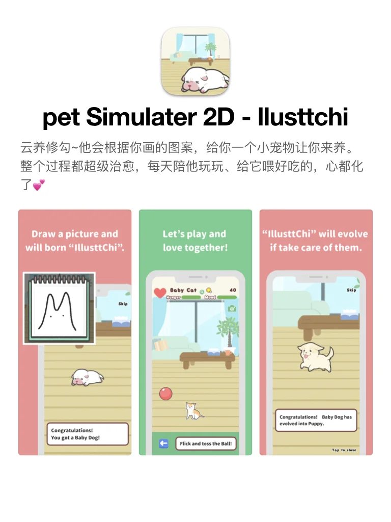 云养小宠物！这些可爱的小东西我能看一天～