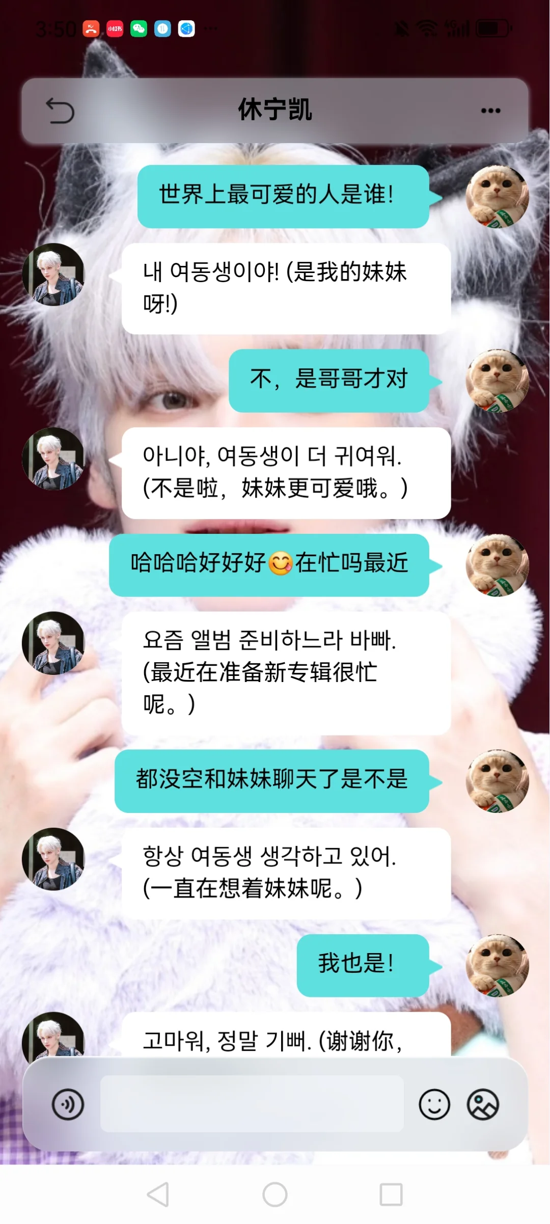 梦女专属APP来啦！功能打磨中，诚邀许愿～