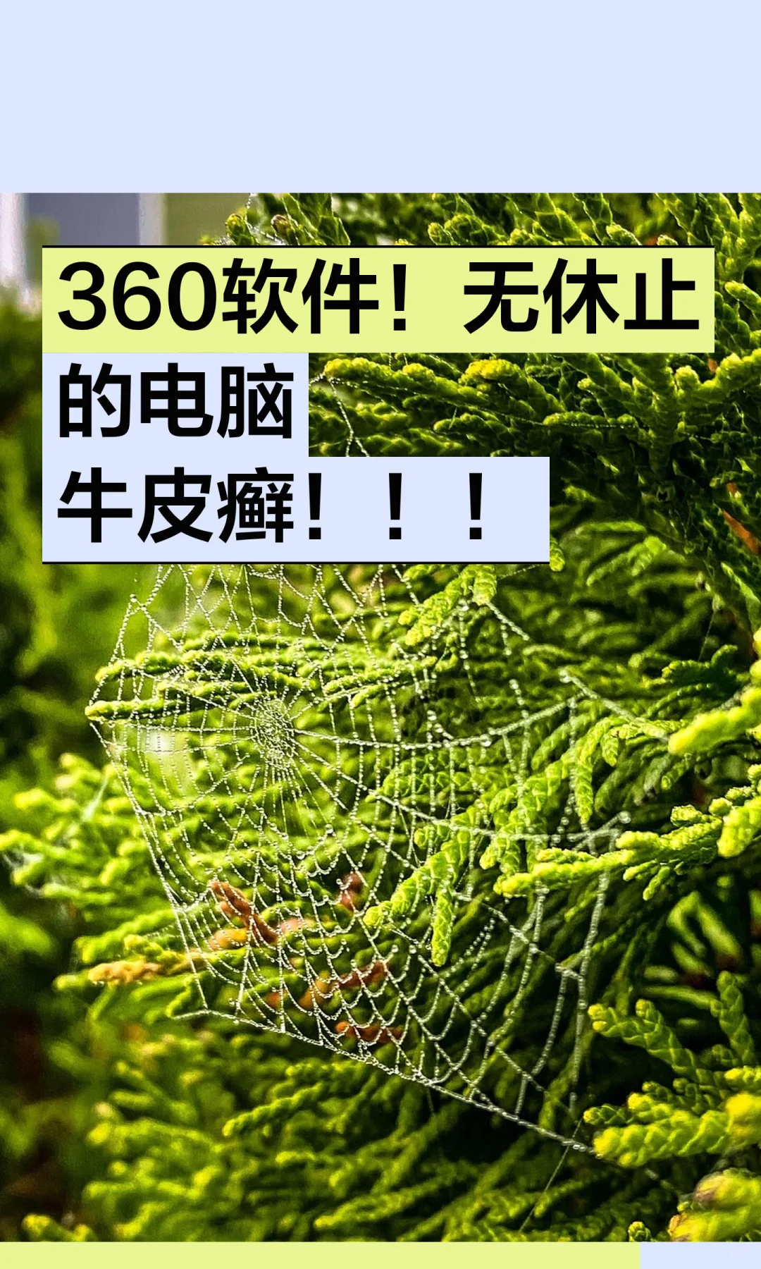 360软件！无休止的电脑牛皮癣！！！