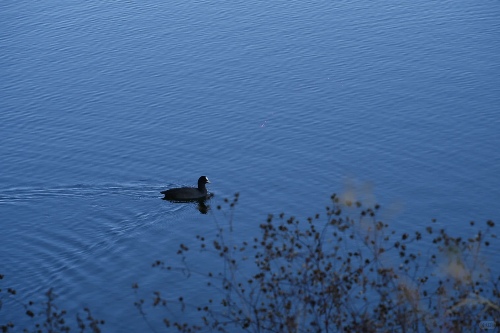 体力 脑力 心力