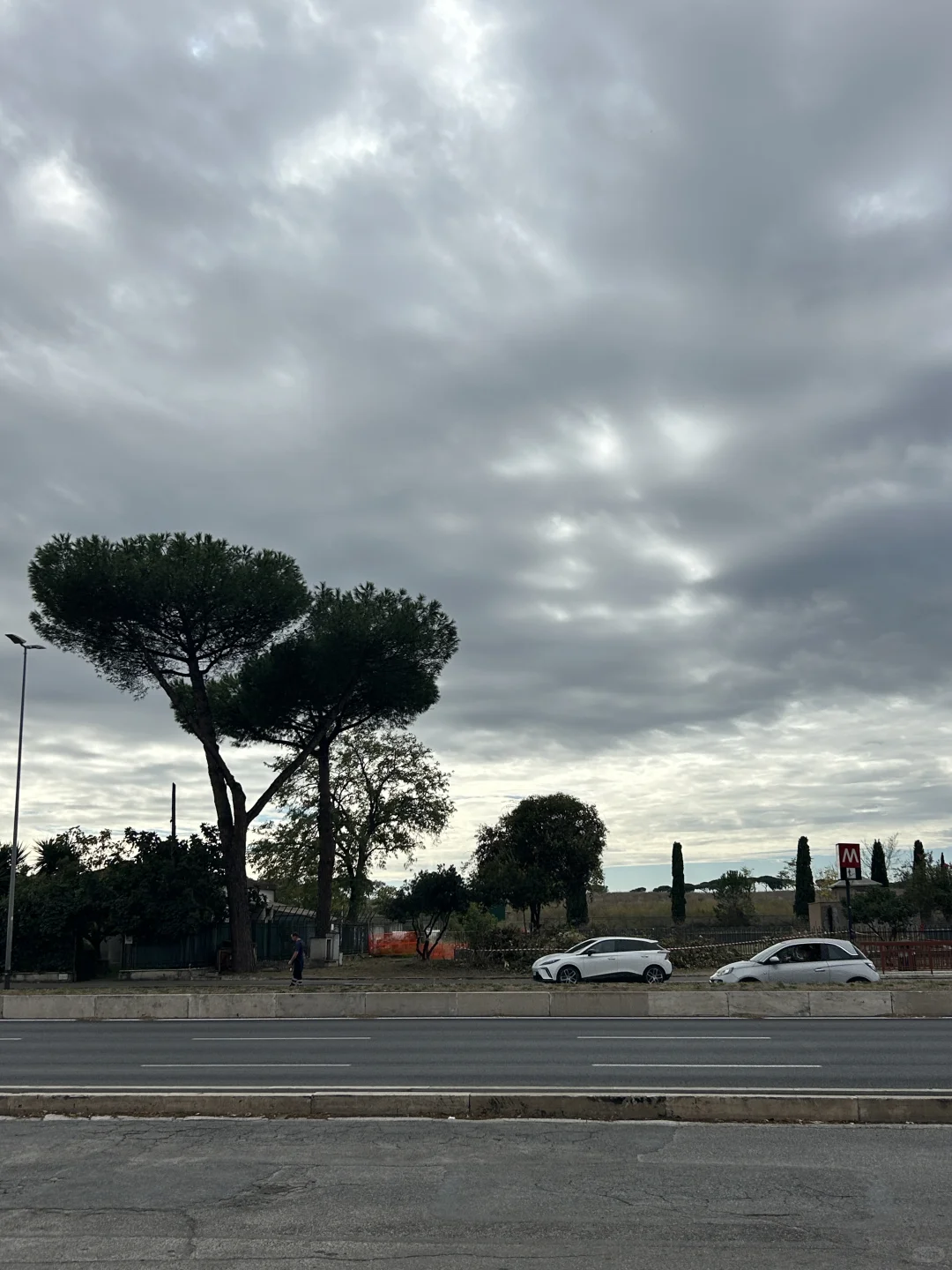 坐标罗马！不容错过的小众电影展