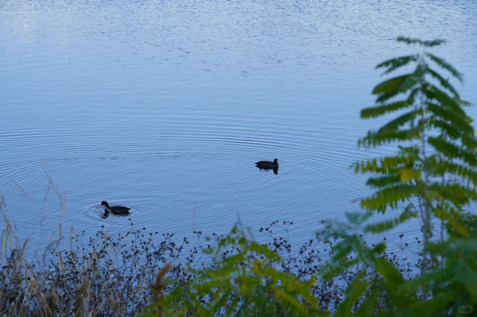 体力 脑力 心力