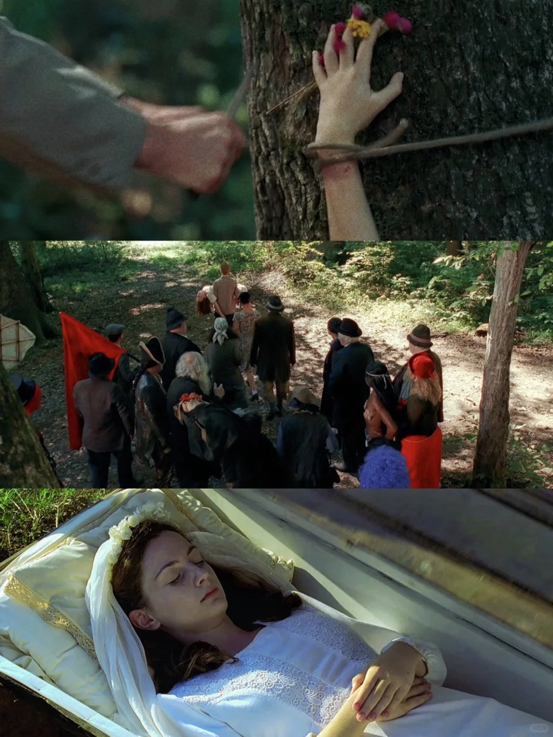 今年看过后劲最大的电影😭看完久久缓不过来