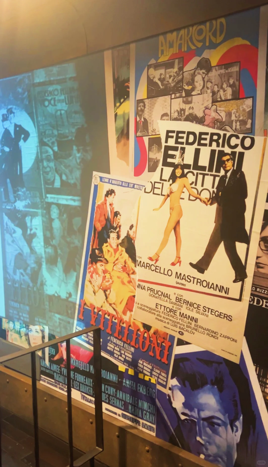 坐标罗马！不容错过的小众电影展