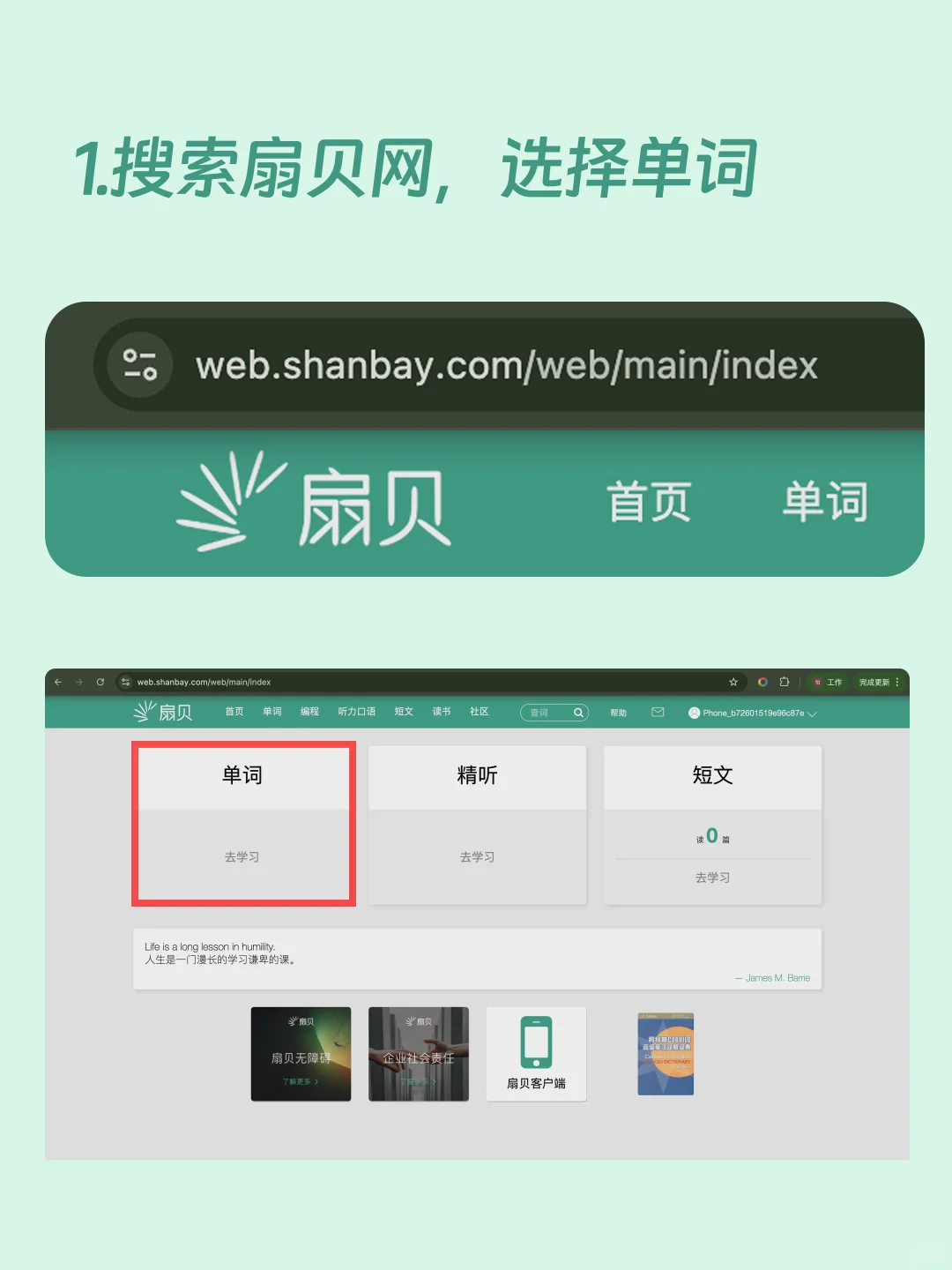 🤯不知道扇贝 有电脑端背单词网页❓