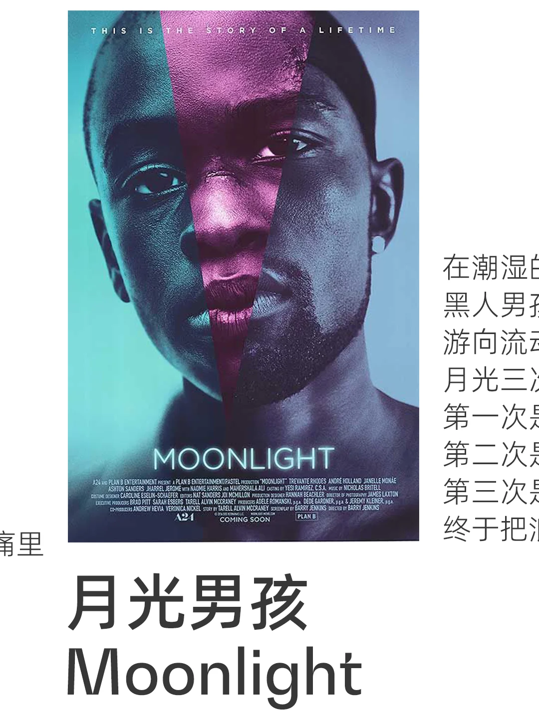 A24 我推荐的十部电影