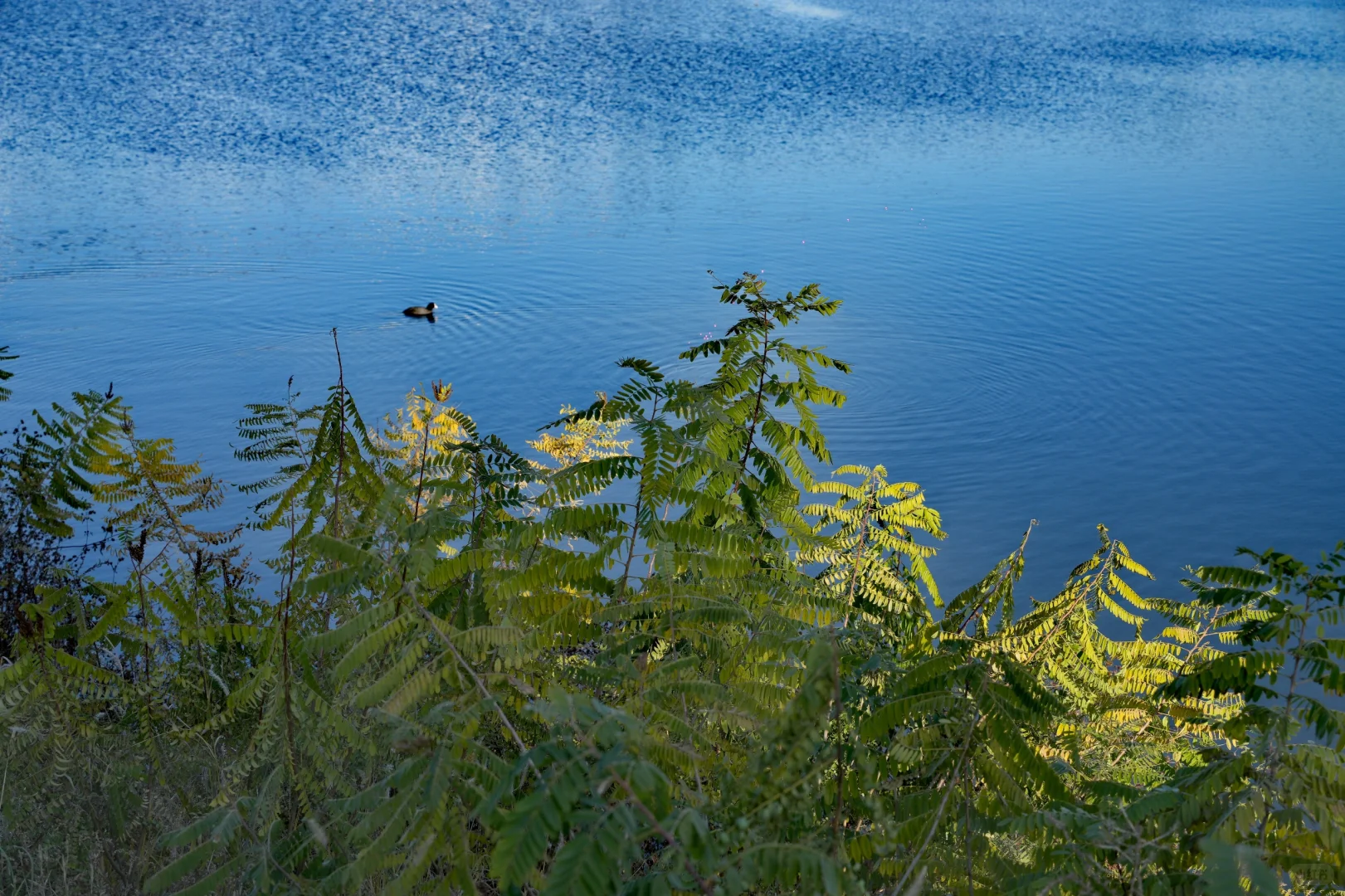 体力 脑力 心力