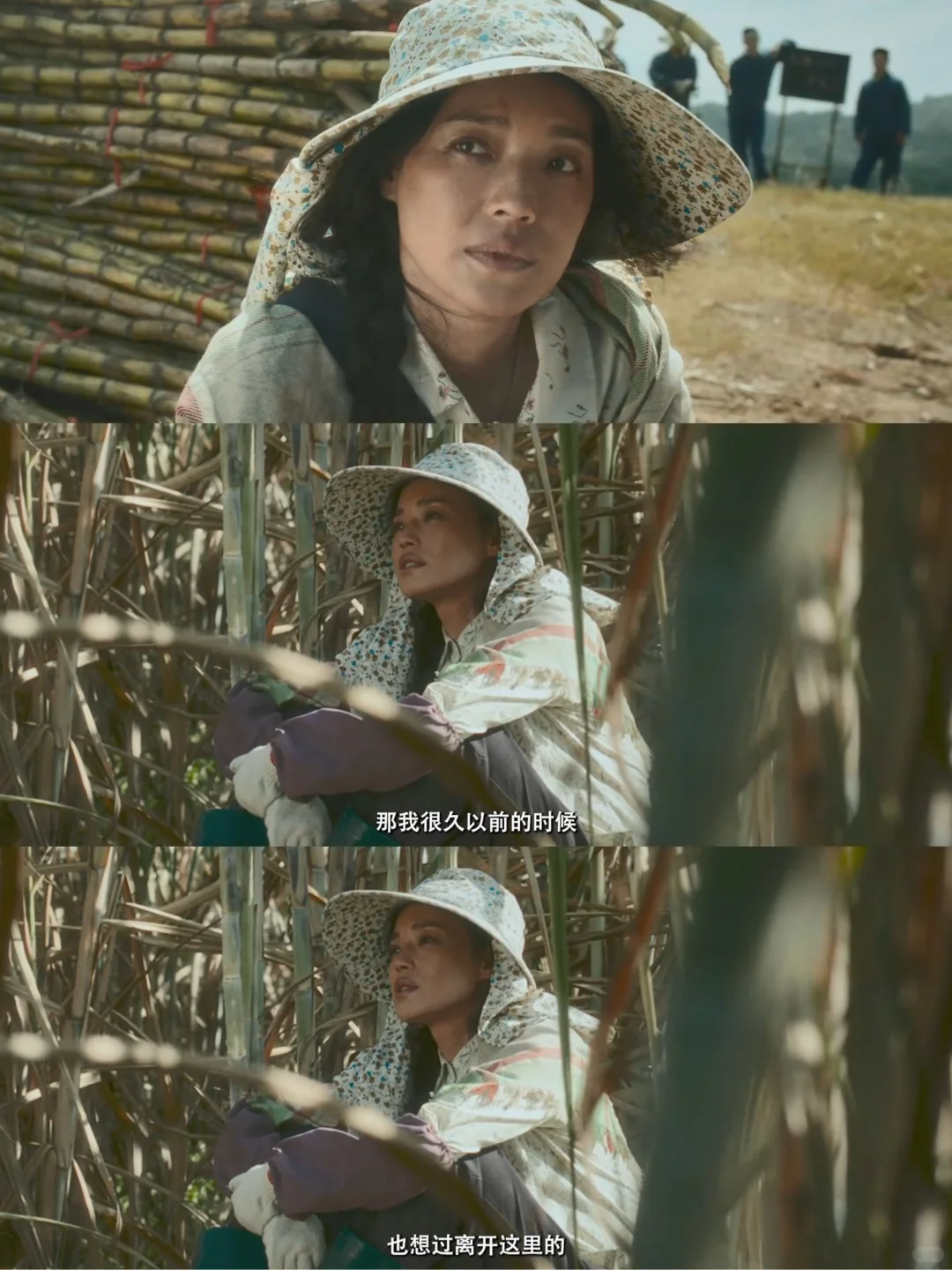 揪心!舒淇 白客!女性觉醒与救赎!想看!