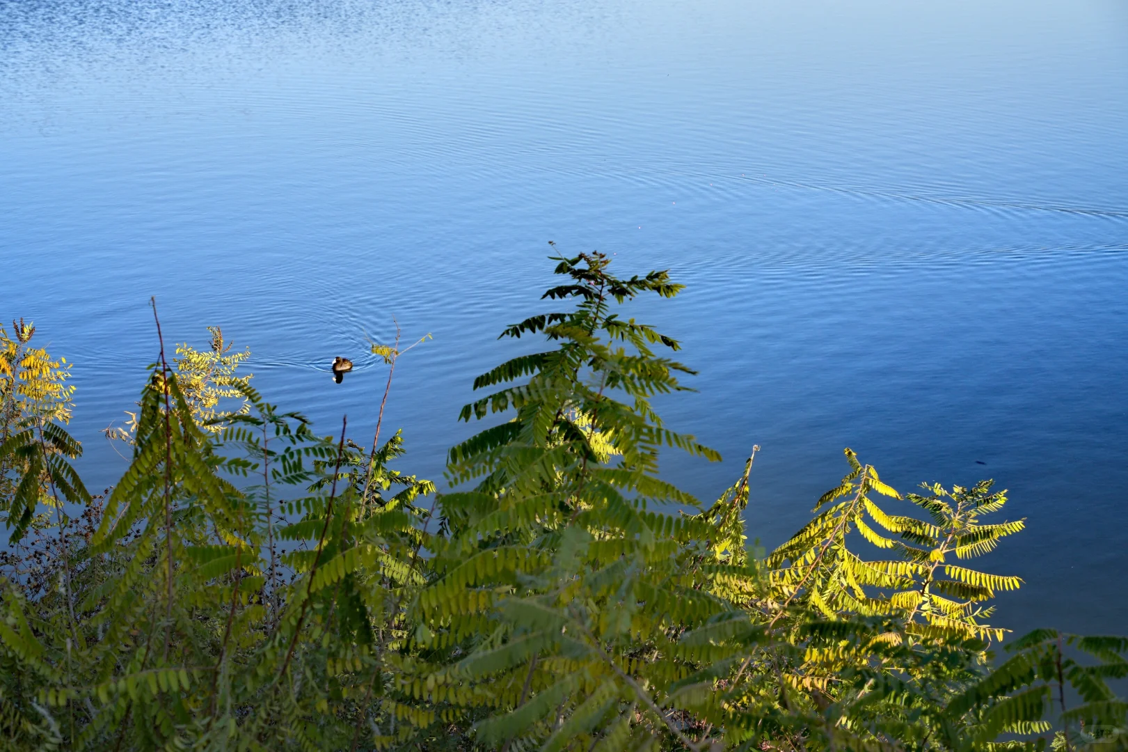 体力 脑力 心力