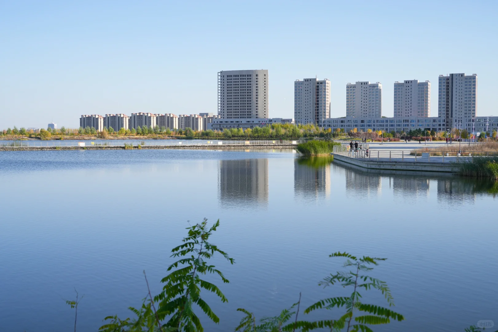 体力 脑力 心力