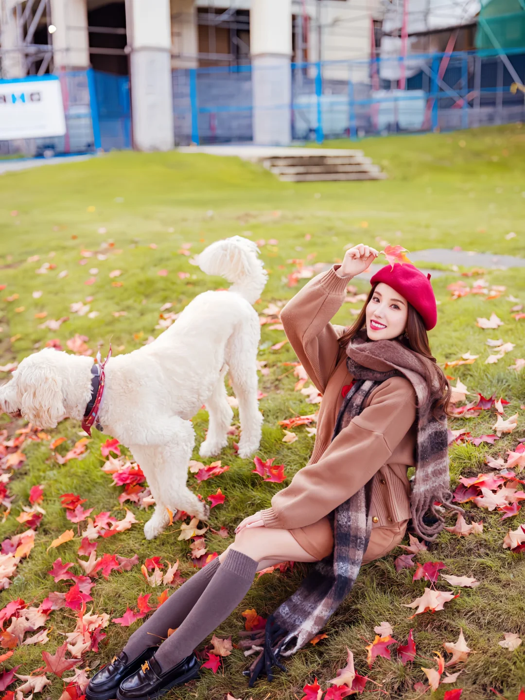 希望这个秋天，好运和枫叶一样不期而至🍁