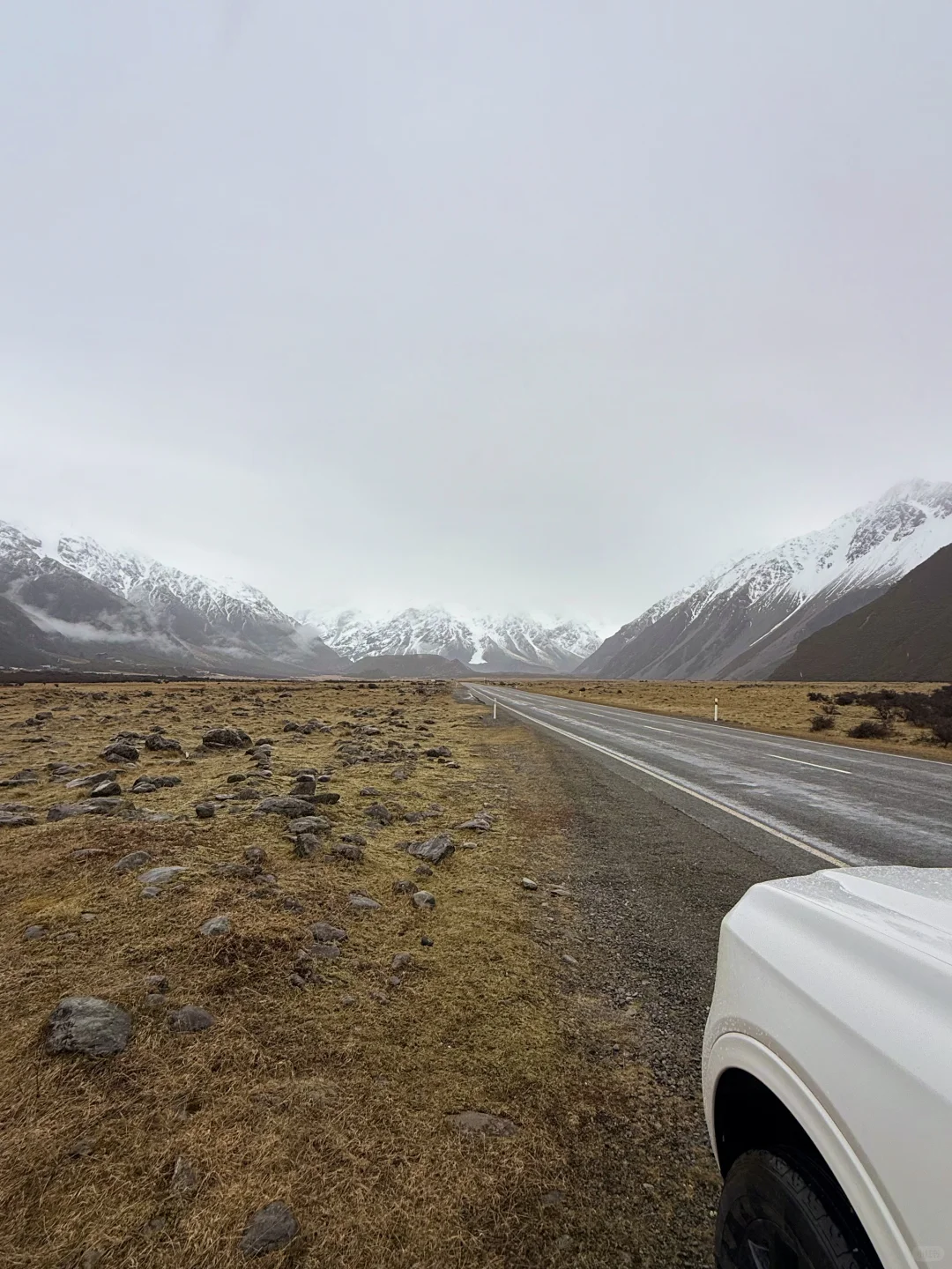 从澳洲来新西兰旅游别报太大希望