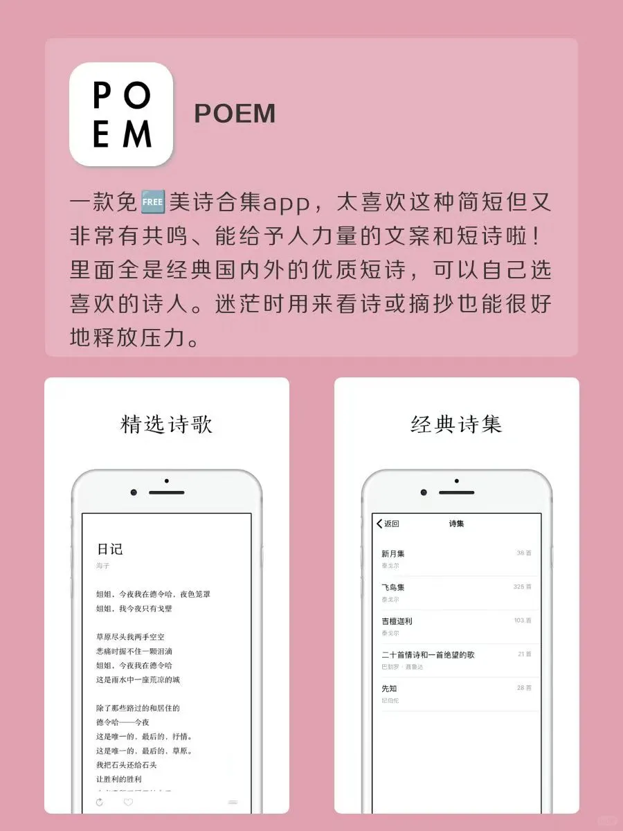 小众实用APP！