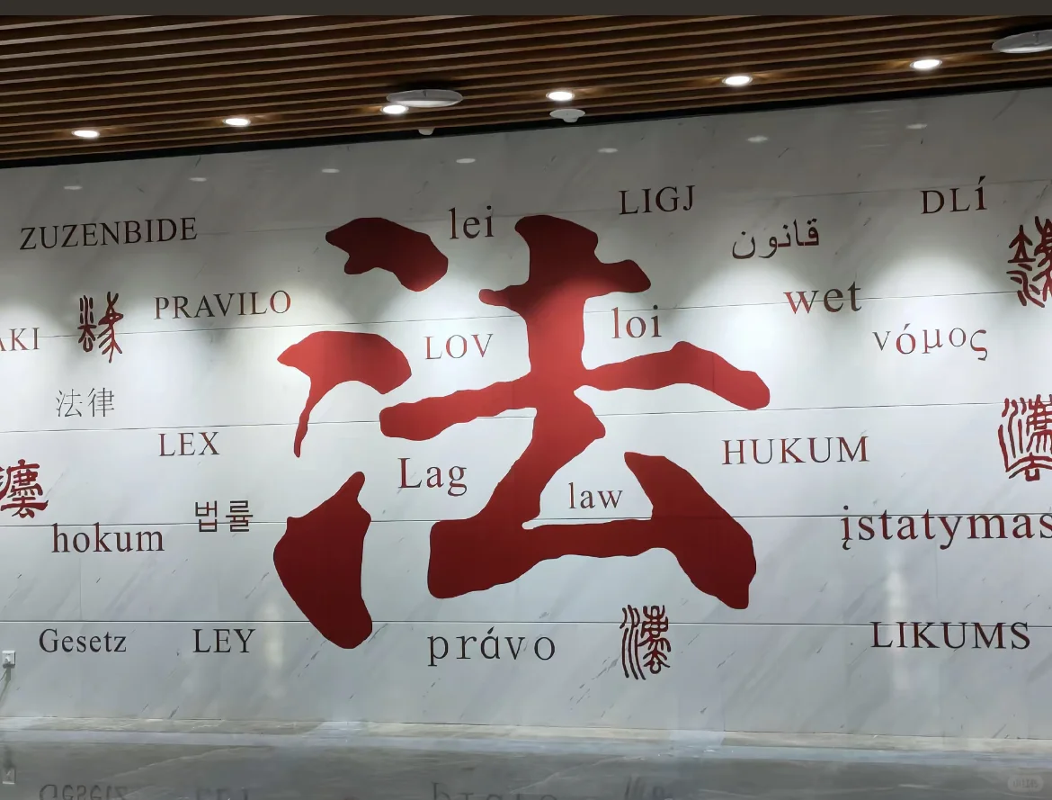 法学牲开学必备！这9个APP让我效率开挂⚖️