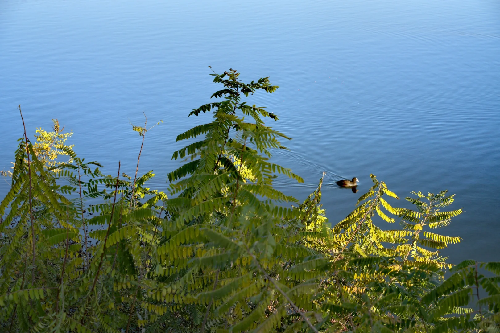 体力 脑力 心力