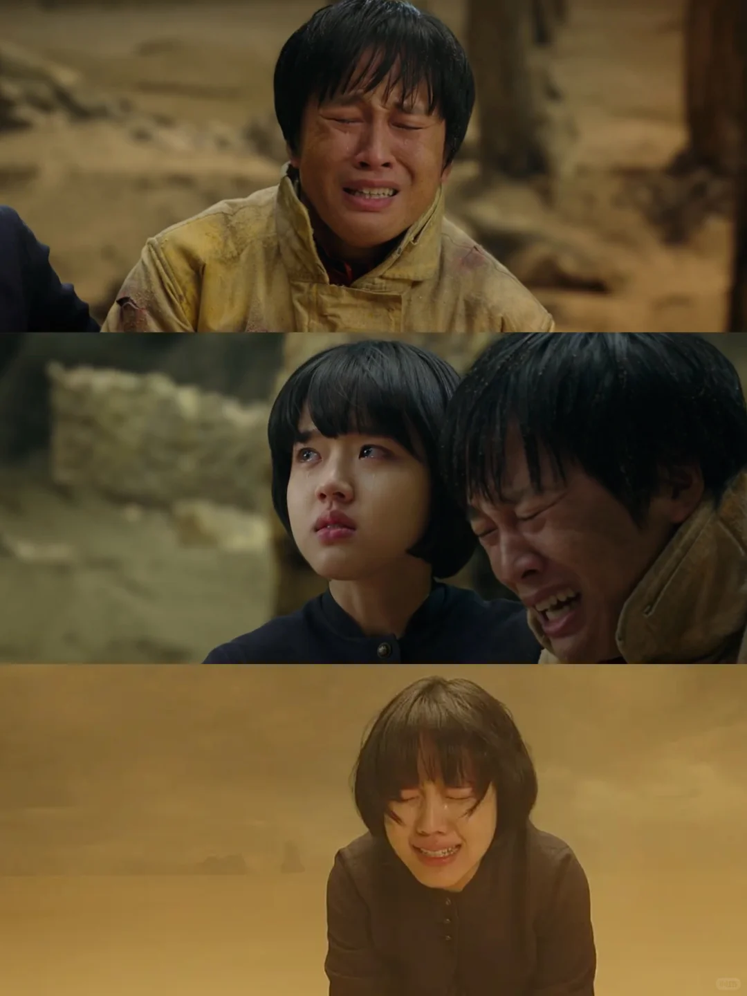 今年最爱的人生电影‼️没有之一😭