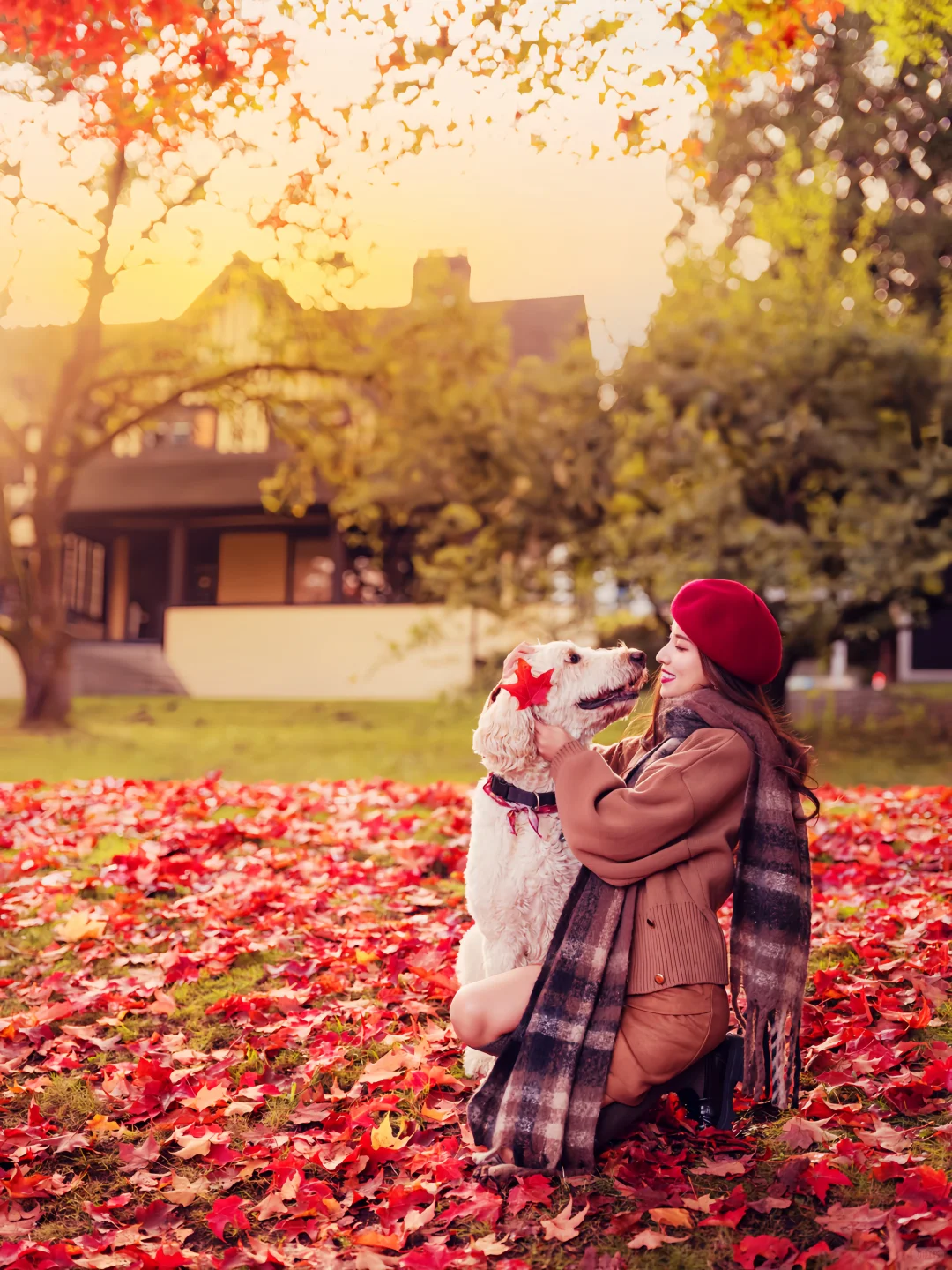 希望这个秋天，好运和枫叶一样不期而至🍁