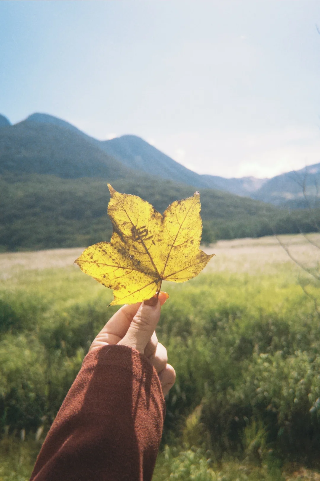 一块多的dazz永久会员，富士都吃灰了
