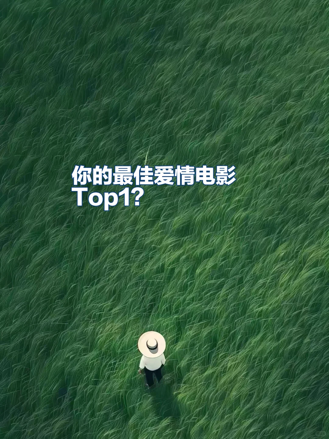 你心目中的爱情电影最佳top1？