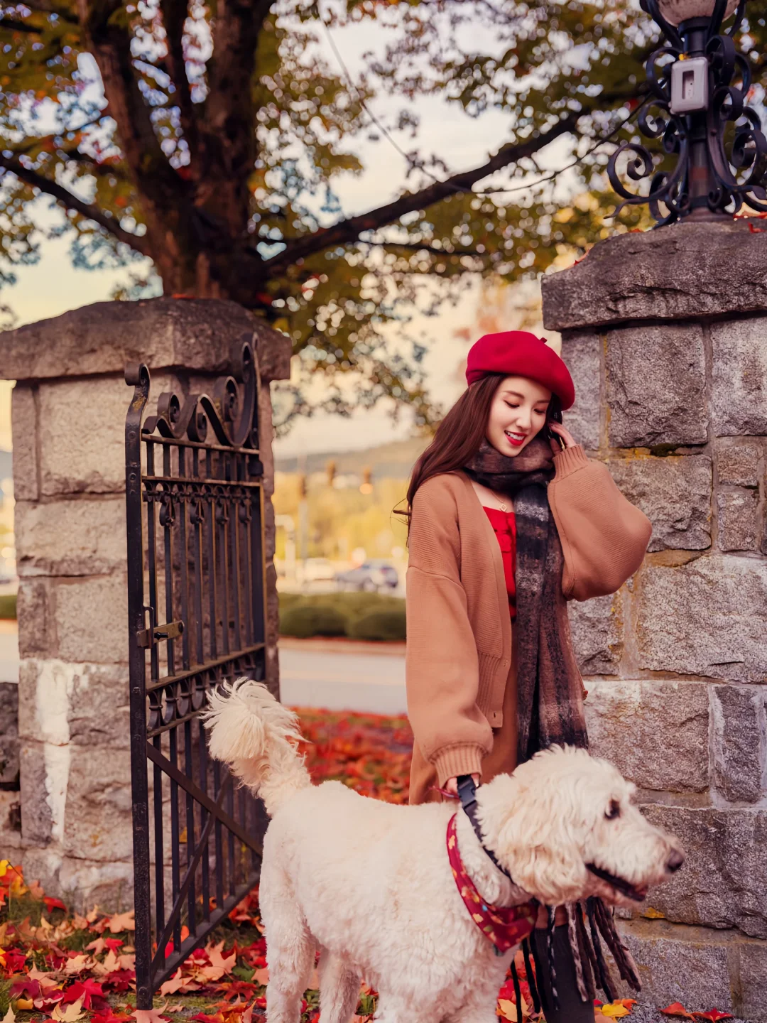 希望这个秋天，好运和枫叶一样不期而至🍁
