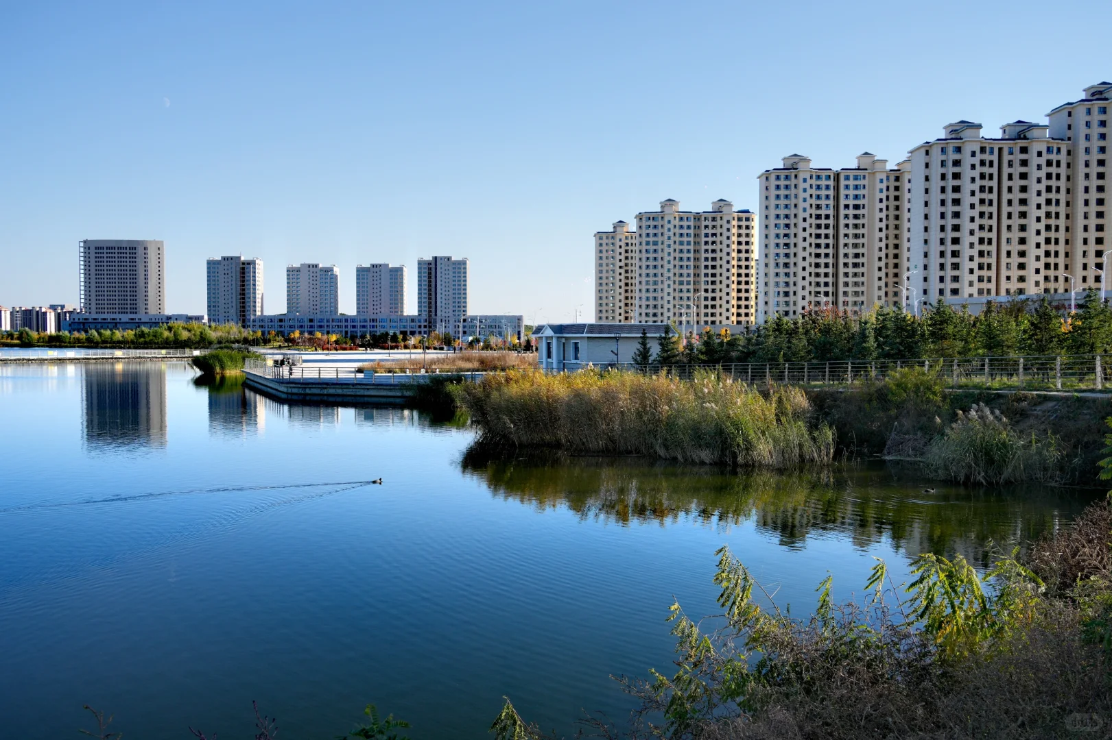 体力 脑力 心力