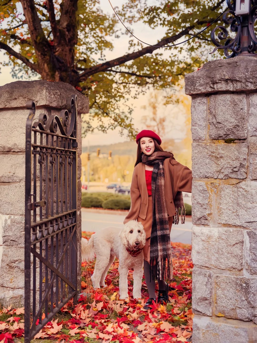 希望这个秋天，好运和枫叶一样不期而至🍁