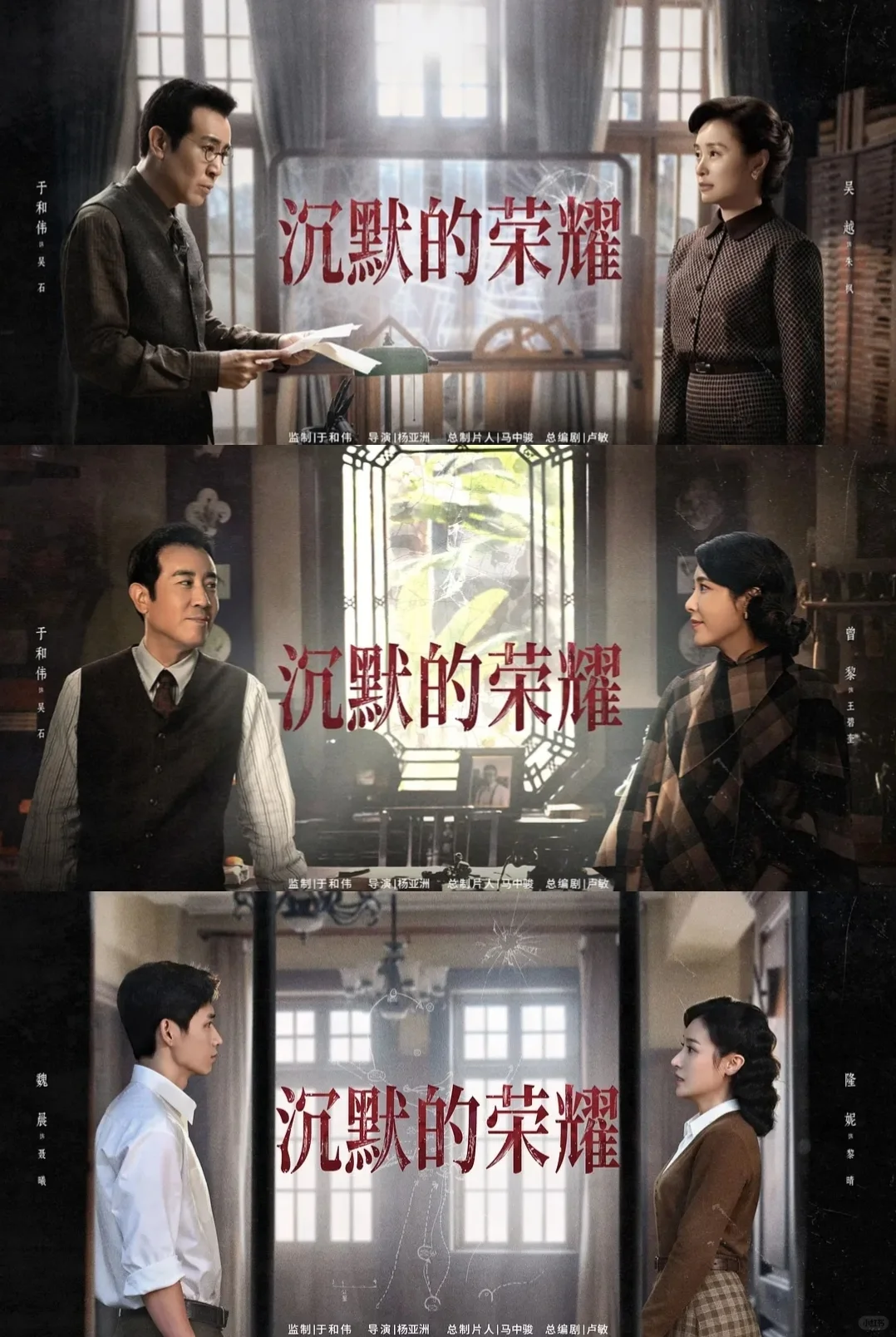 电视剧【沉默的荣耀】（2025）