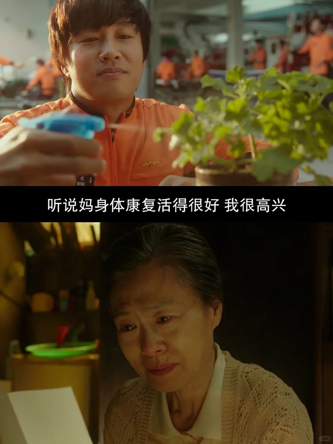 今年最爱的人生电影‼️没有之一😭