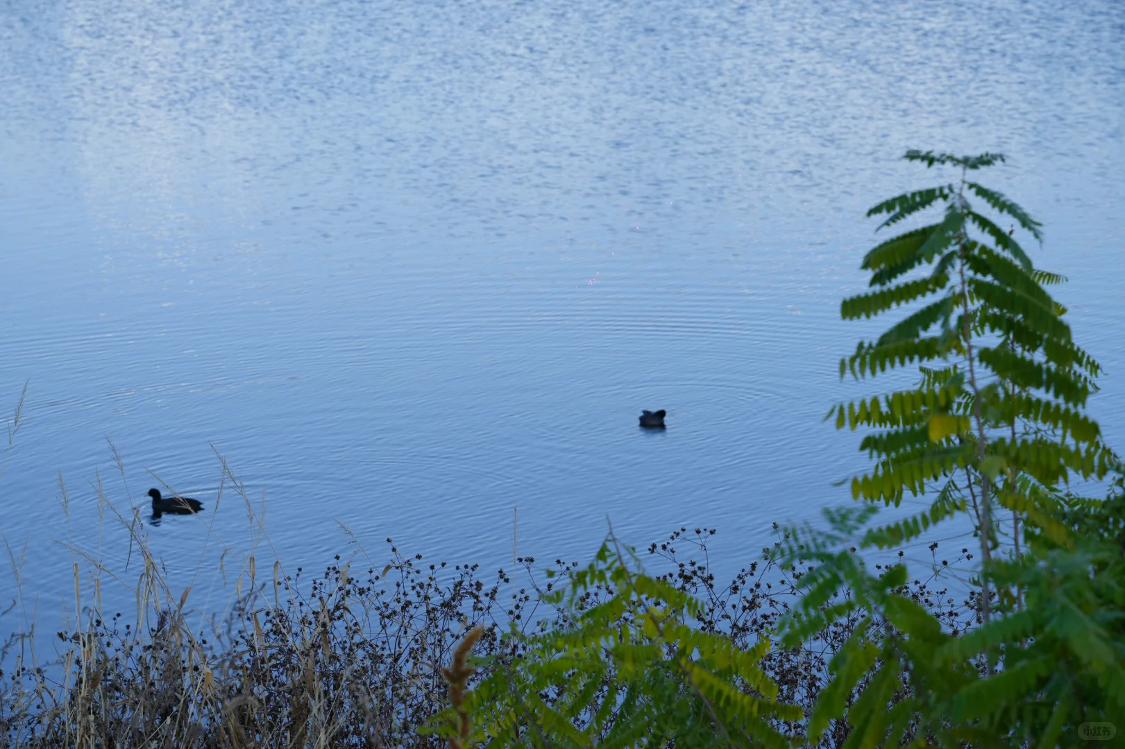 体力 脑力 心力