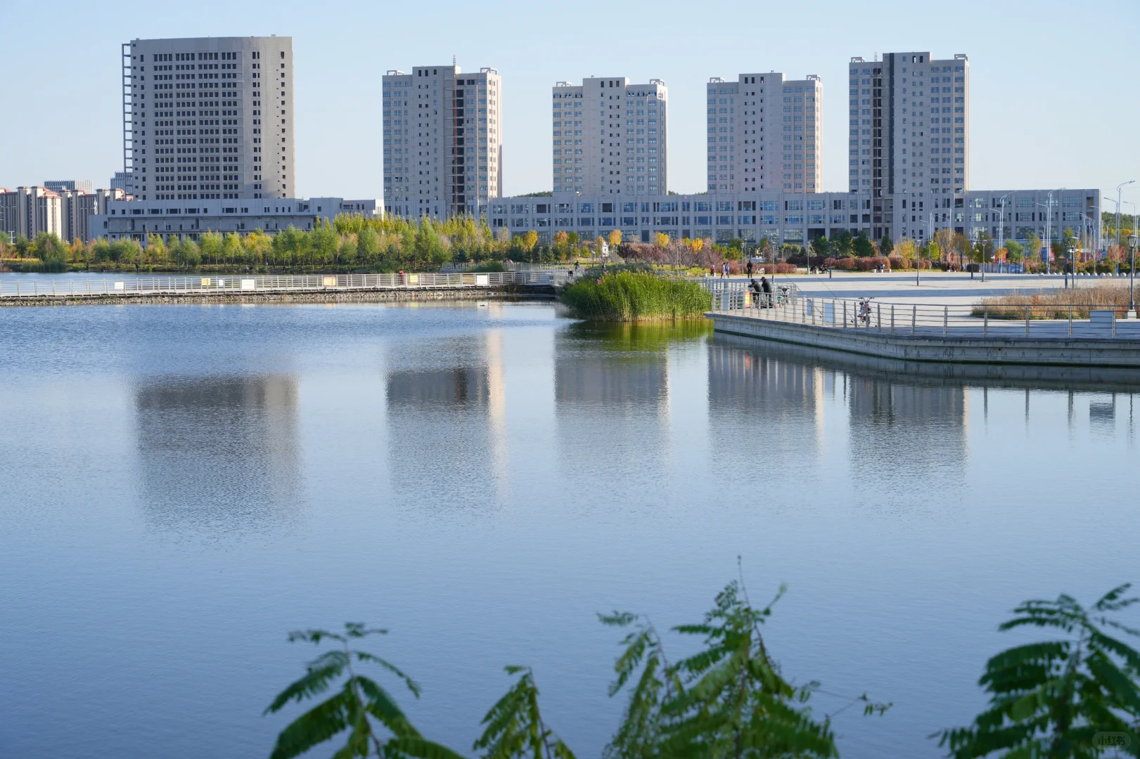 体力 脑力 心力