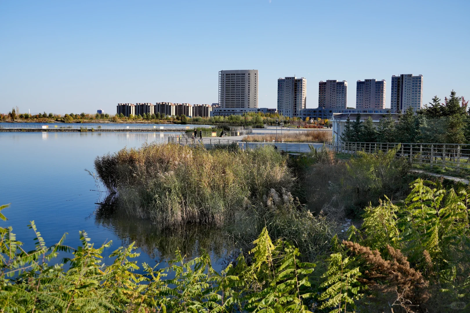 体力 脑力 心力