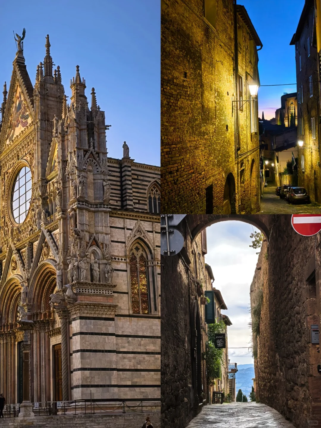 陈都灵发了23张国外旅游照，好鲜活的生命力